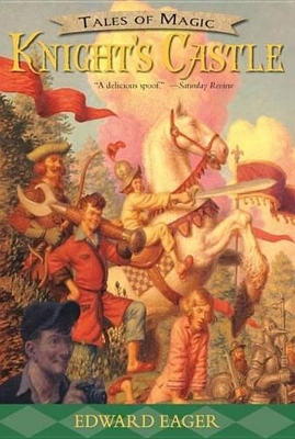 Book cover for Knight's Castle