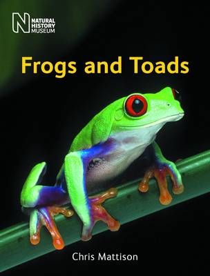 Book cover for Frogs and Toads