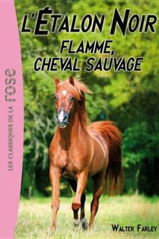 Cover of L'Etalon Noir 10 - Flamme, Cheval Sauvage