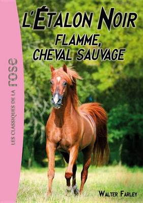 Book cover for L'Etalon Noir 10 - Flamme, Cheval Sauvage
