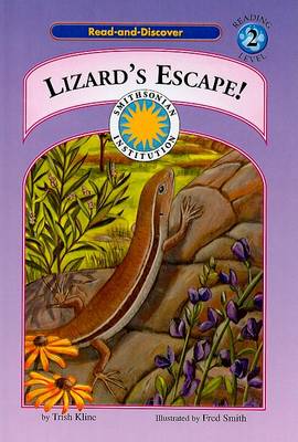 Book cover for Lizard's Escape!