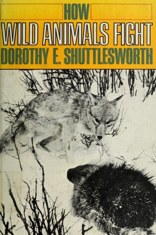 Cover of How Wild Animals Fight