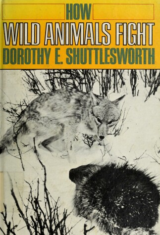 Book cover for How Wild Animals Fight