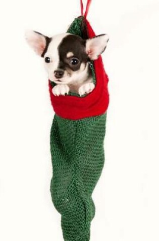 Cover of Chihuahua Puppy in a Christmas Stocking