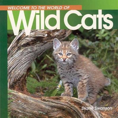 Book cover for Welcome Wild Cats (Wonderful W