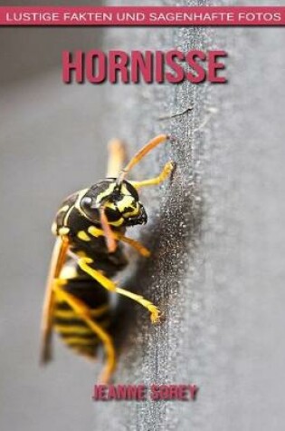 Cover of Hornisse