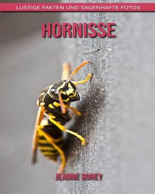 Book cover for Hornisse