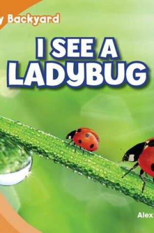 Cover of I See a Ladybug