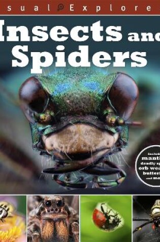 Cover of Visual Explorers: Insects and Spiders