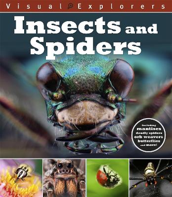 Book cover for Visual Explorers: Insects and Spiders