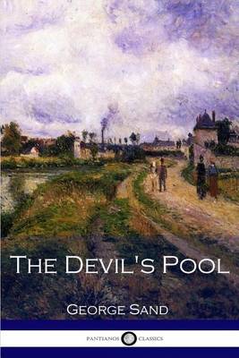 Book cover for The Devil's Pool