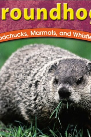 Cover of Groundhogs