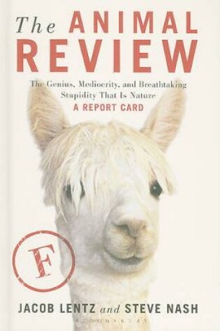 Cover of The Animal Review