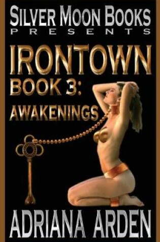 Cover of Irontown 3