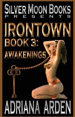 Book cover for Irontown 3