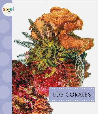 Book cover for Los Corales