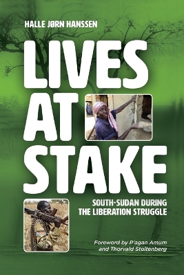 Cover of Lives at Stake