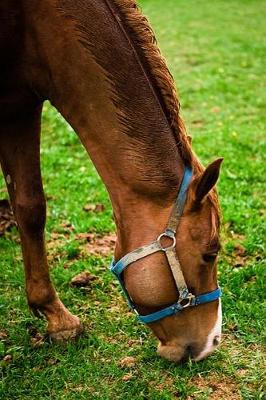 Book cover for Equine Journal Chestnut After Bath