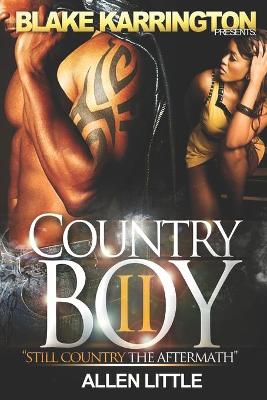 Book cover for Country Boys 2
