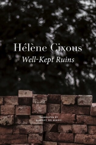 Cover of Well-Kept Ruins