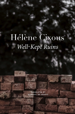 Book cover for Well-Kept Ruins