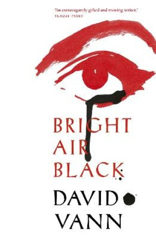 Cover of Bright Air Black