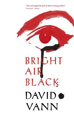 Book cover for Bright Air Black