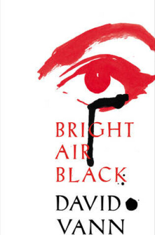 Cover of Bright Air Black