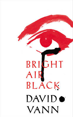 Book cover for Bright Air Black