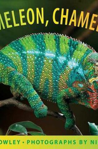 Cover of Chameleon, Chameleon