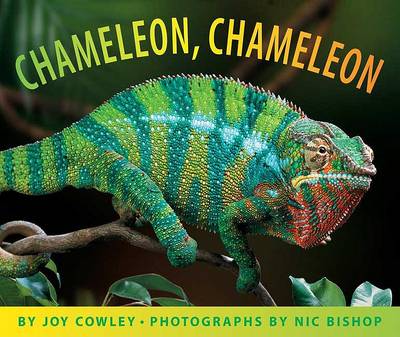 Book cover for Chameleon, Chameleon