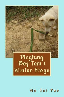 Book cover for Pingtung Boy Tom 1