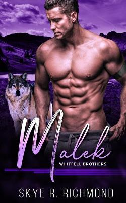 Book cover for Malek