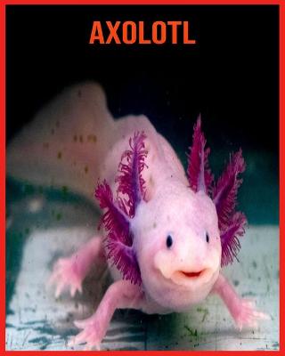 Book cover for Axolotl