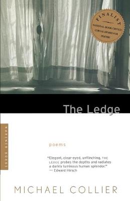 Book cover for Ledge