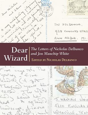 Book cover for Dear Wizard