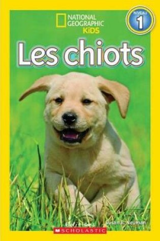 Cover of National Geographic Kids: Les Chiots (Niveau 1)