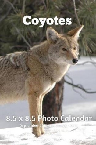 Cover of Coyotes 8.5 X 8.5 Calendar September 2021 -December 2022