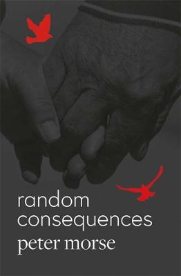 Book cover for random consequences