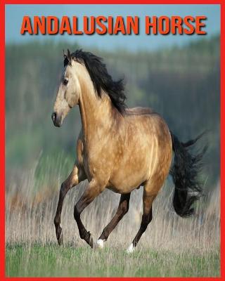 Book cover for Andalusian Horse