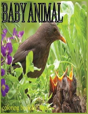 Book cover for Baby animals coloring book for forest