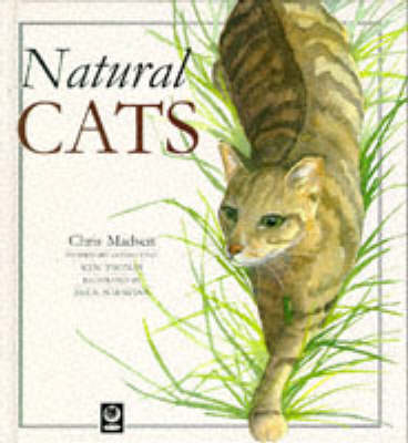 Book cover for Natural Cats