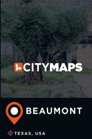 Cover of City Maps Beaumont Texas, USA