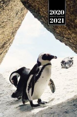 Cover of Penguin Puffin Antarctica Seabird Week Planner Weekly Organizer Calendar 2020 / 2021 - In the Caves