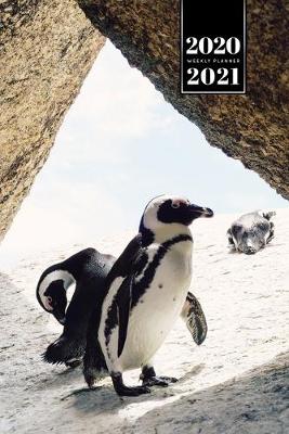 Book cover for Penguin Puffin Antarctica Seabird Week Planner Weekly Organizer Calendar 2020 / 2021 - In the Caves