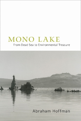 Book cover for Mono Lake