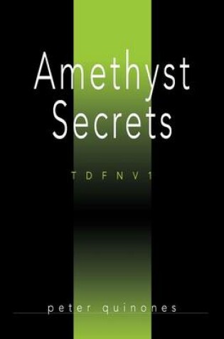 Cover of Amethyst Secrets