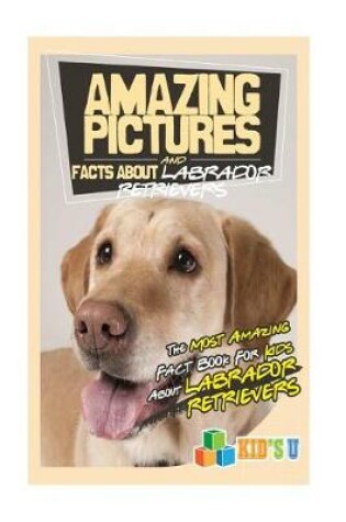Cover of Amazing Pictures and Facts about Labrador Retrievers