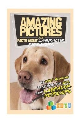 Book cover for Amazing Pictures and Facts about Labrador Retrievers
