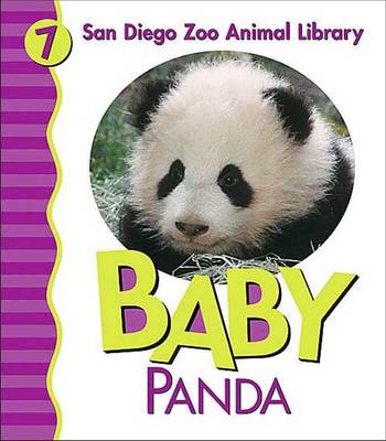 Book cover for Baby Panda